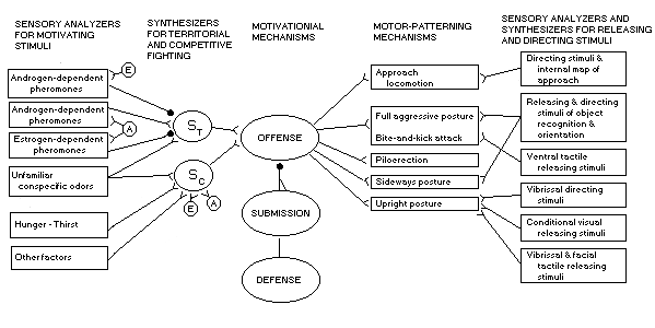 systems diagram