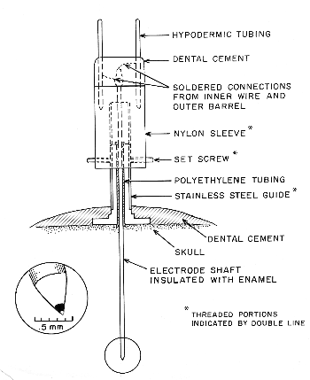 diagram of electrode and mounting