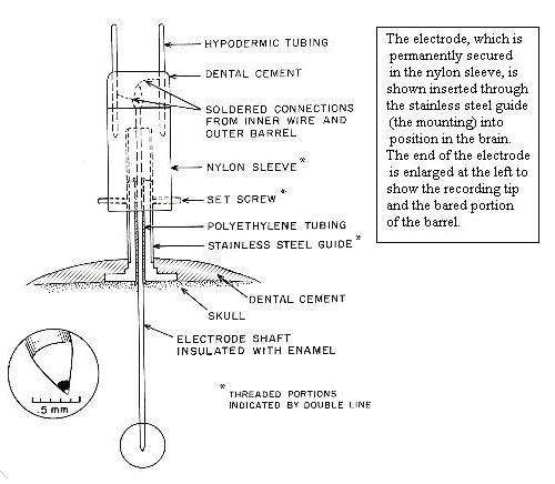 the electrode